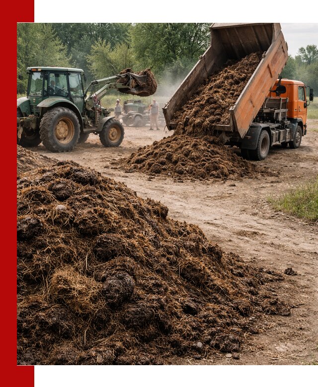 Доставка навоза самосвалами в Шахтах для сельхозпотребностей